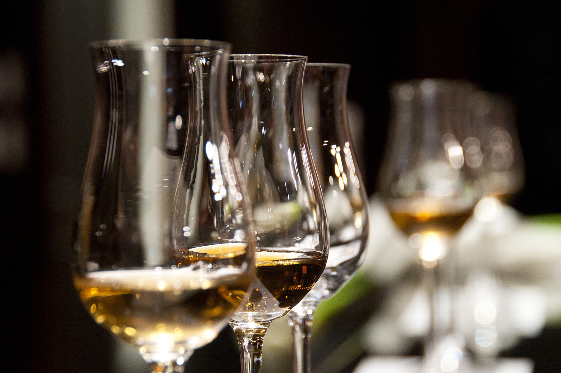Cellar tasting